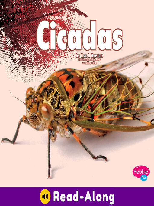 Title details for Cicadas by Gail Saunders-Smith - Available